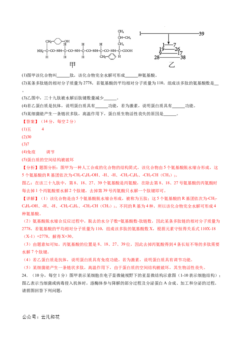 高一生物期中模拟卷02（全解全析）（新高考通用）_1多考区联考试卷_1014高一期中模拟卷（新高考通用）黄金卷：2024-2025学年高一上学期期中模拟考试