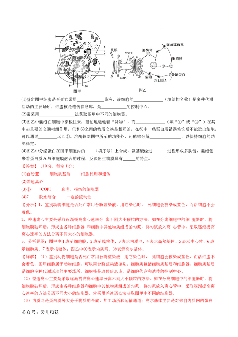 高一生物期中模拟卷02（全解全析）（新高考通用）_1多考区联考试卷_1014高一期中模拟卷（新高考通用）黄金卷：2024-2025学年高一上学期期中模拟考试