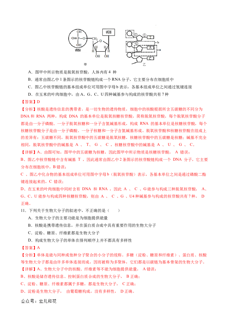 高一生物期中模拟卷02（全解全析）（新高考通用）_1多考区联考试卷_1014高一期中模拟卷（新高考通用）黄金卷：2024-2025学年高一上学期期中模拟考试