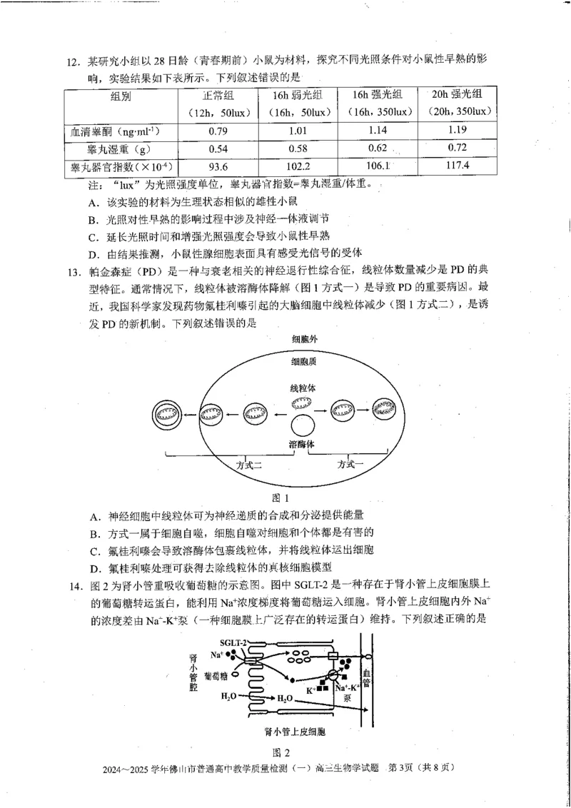 2025佛山一模生物学试卷_2025年1月_250117广东省2025届佛山市高三上学期一模（全科）_2025届广东省佛山市高三上学期一模生物试题
