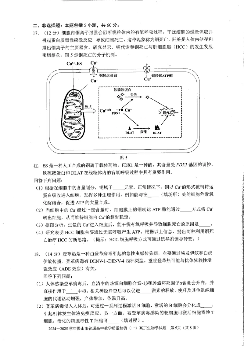 2025佛山一模生物学试卷_2025年1月_250117广东省2025届佛山市高三上学期一模（全科）_2025届广东省佛山市高三上学期一模生物试题