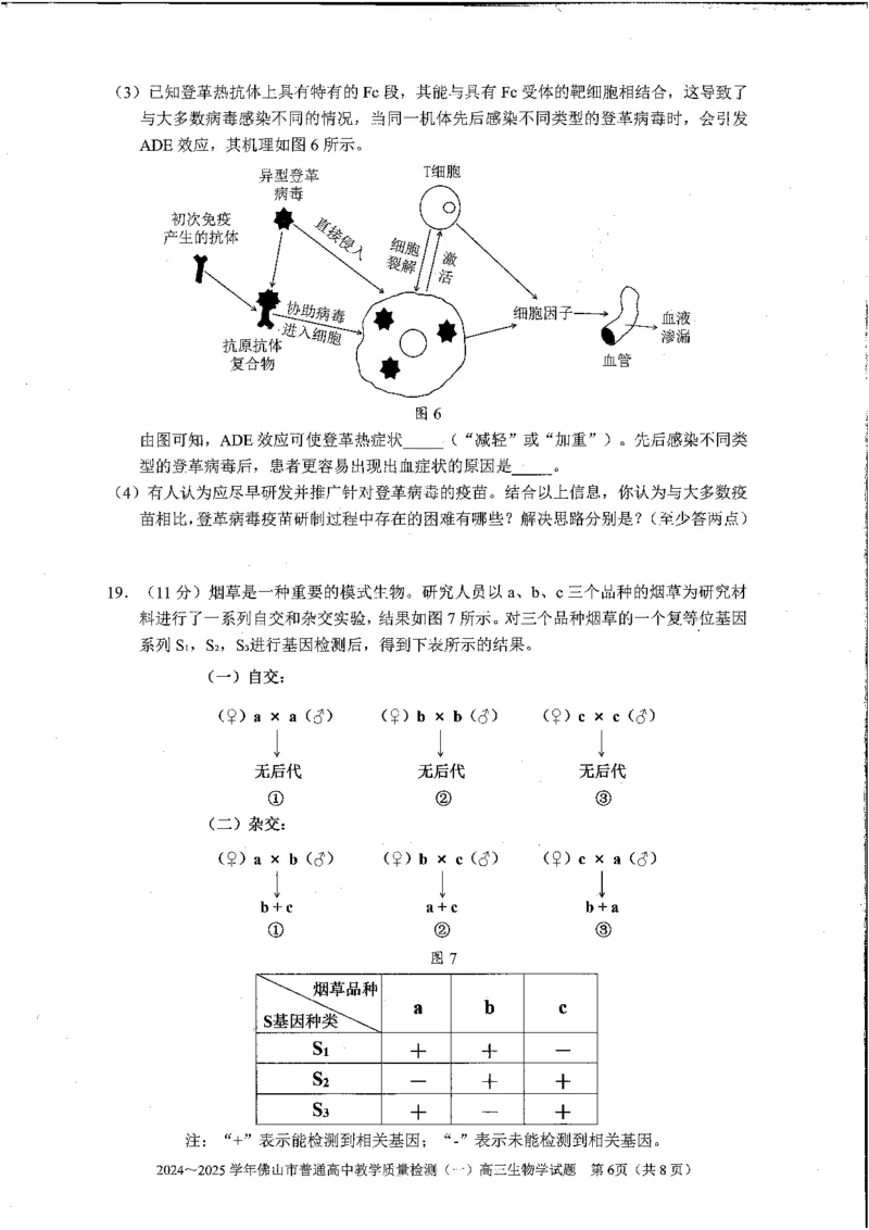 2025佛山一模生物学试卷_2025年1月_250117广东省2025届佛山市高三上学期一模（全科）_2025届广东省佛山市高三上学期一模生物试题