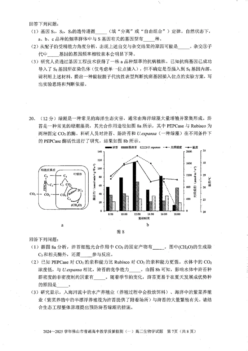 2025佛山一模生物学试卷_2025年1月_250117广东省2025届佛山市高三上学期一模（全科）_2025届广东省佛山市高三上学期一模生物试题