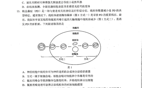 2025佛山一模生物学试卷_2025年1月_250117广东省2025届佛山市高三上学期一模（全科）_2025届广东省佛山市高三上学期一模生物试题