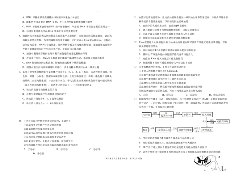 2025届高三第五次月考生物试卷_2025年1月_250102宁夏银川一中2025届高三上学期第五次月考（全科）_宁夏银川一中2025届高三上学期第五次月考生物