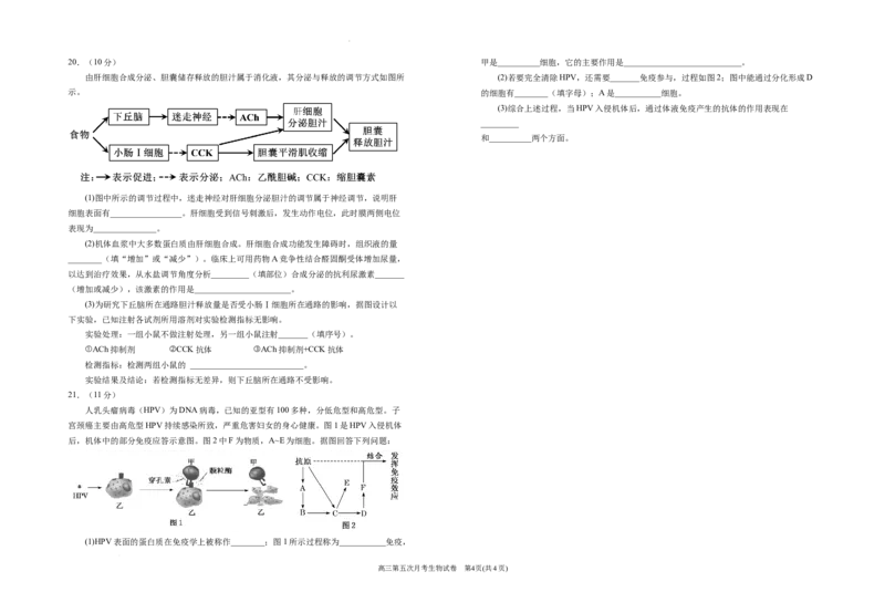 2025届高三第五次月考生物试卷_2025年1月_250102宁夏银川一中2025届高三上学期第五次月考（全科）_宁夏银川一中2025届高三上学期第五次月考生物