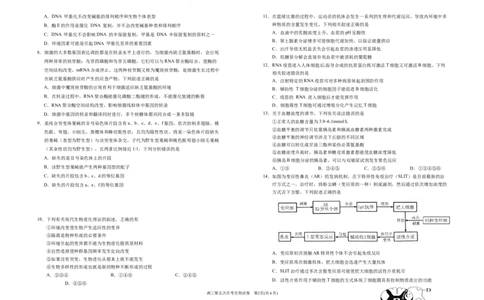 2025届高三第五次月考生物试卷_2025年1月_250102宁夏银川一中2025届高三上学期第五次月考（全科）_宁夏银川一中2025届高三上学期第五次月考生物