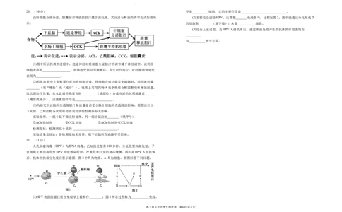 2025届高三第五次月考生物试卷_2025年1月_250102宁夏银川一中2025届高三上学期第五次月考（全科）_宁夏银川一中2025届高三上学期第五次月考生物