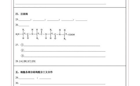 高一生物期中模拟卷（答题卡）（上海专用）_1多考区联考试卷_1021高一期中模拟卷（上海专用）黄金卷：2024-2025学年高一上学期期中模拟考试