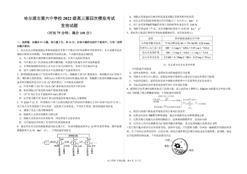 2025届黑龙江省哈尔滨市第六中学高三下学期第四次模拟考试生物试卷（含答案）_2025年5月_250514黑龙江省哈尔滨市第六中学2025届高三下学期四模（全科）