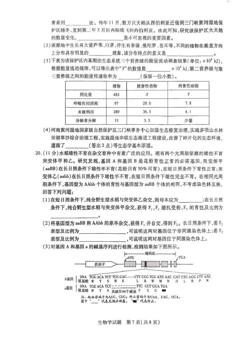 2025届河南省天一大联考高三3月春季模拟检测生物+答案_2025年3月_2503052025届河南省天一大联考高三3月春季模拟检测