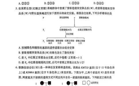 2025届河南省天一大联考高三3月春季模拟检测生物+答案_2025年3月_2503052025届河南省天一大联考高三3月春季模拟检测