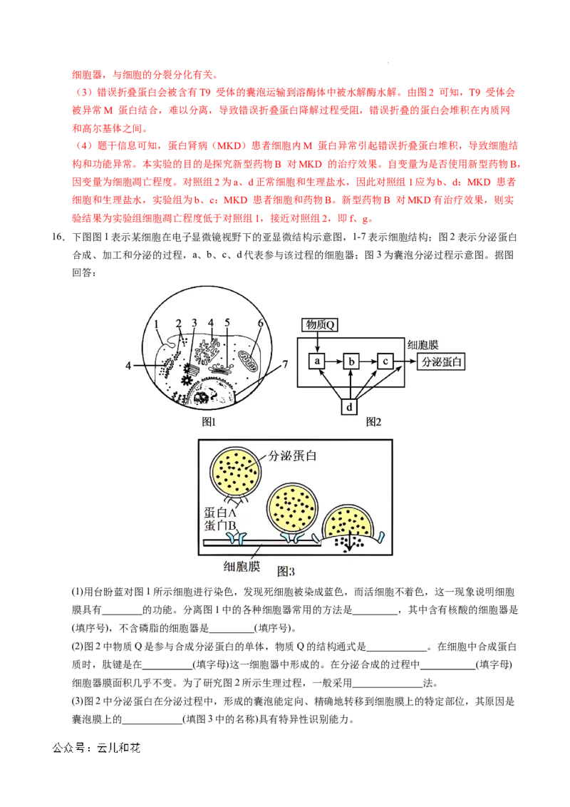 高一生物期中模拟卷（全解全析）（天津专用）_1多考区联考试卷_1021高一期中模拟卷（天津专用）黄金卷：2024-2025学年高一上学期期中模拟考试