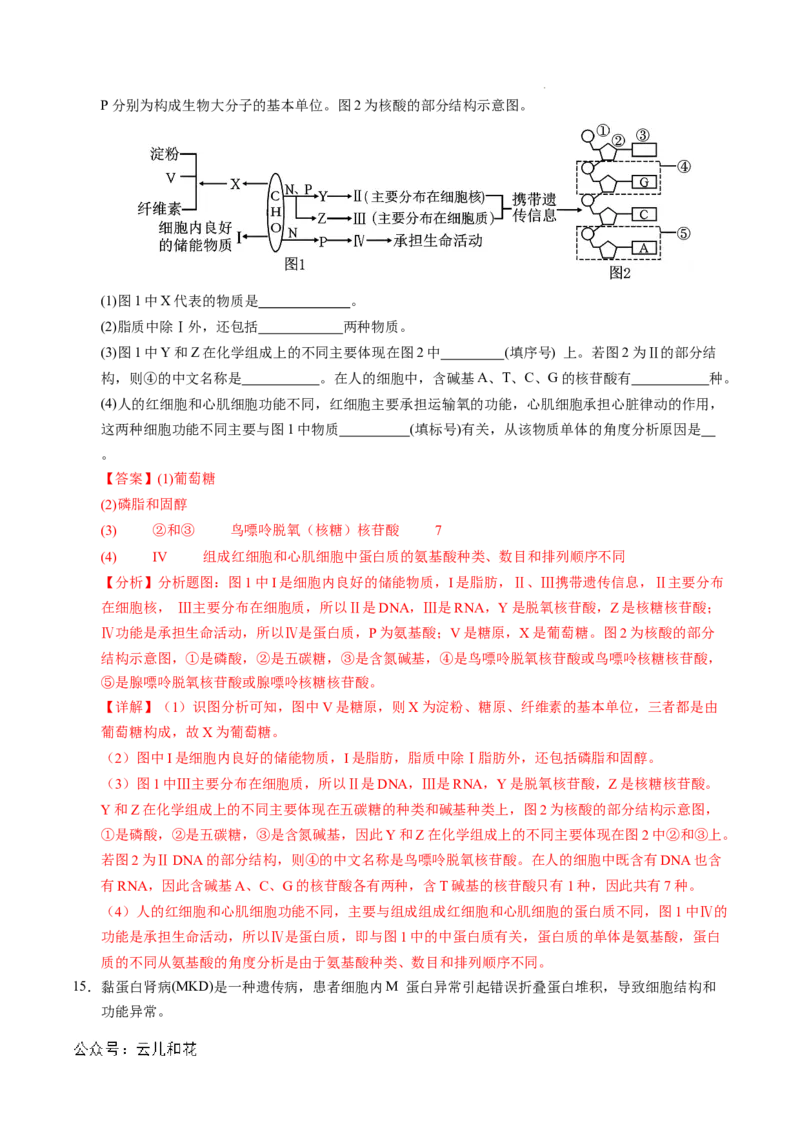 高一生物期中模拟卷（全解全析）（天津专用）_1多考区联考试卷_1021高一期中模拟卷（天津专用）黄金卷：2024-2025学年高一上学期期中模拟考试
