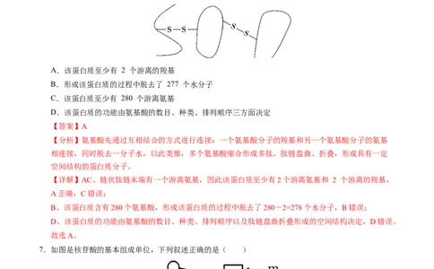 高一生物期中模拟卷（全解全析）（天津专用）_1多考区联考试卷_1021高一期中模拟卷（天津专用）黄金卷：2024-2025学年高一上学期期中模拟考试