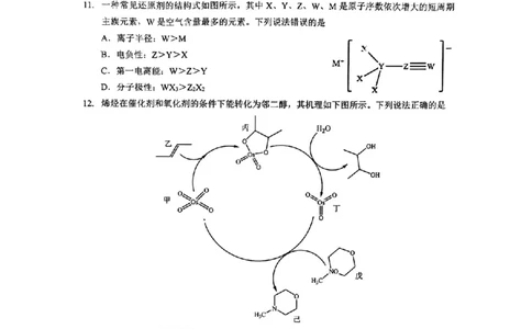 化学_2025年高三5月壮行考试_2025年5月_2505192025届湖北省新八校协作体高三下学期5月壮行考（全科）_06化学