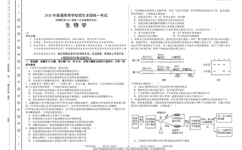 前锋区高2026届第一次全真模拟考试+生物_2025年10月_251018四川省广安市前锋区高2026届第一次全真模拟考试（全科）