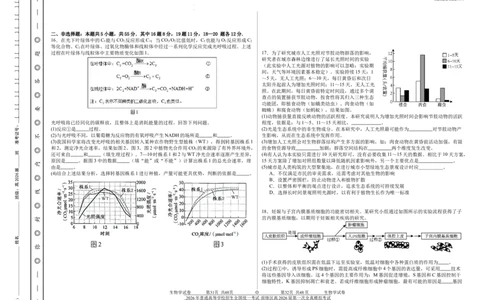 前锋区高2026届第一次全真模拟考试+生物_2025年10月_251018四川省广安市前锋区高2026届第一次全真模拟考试（全科）
