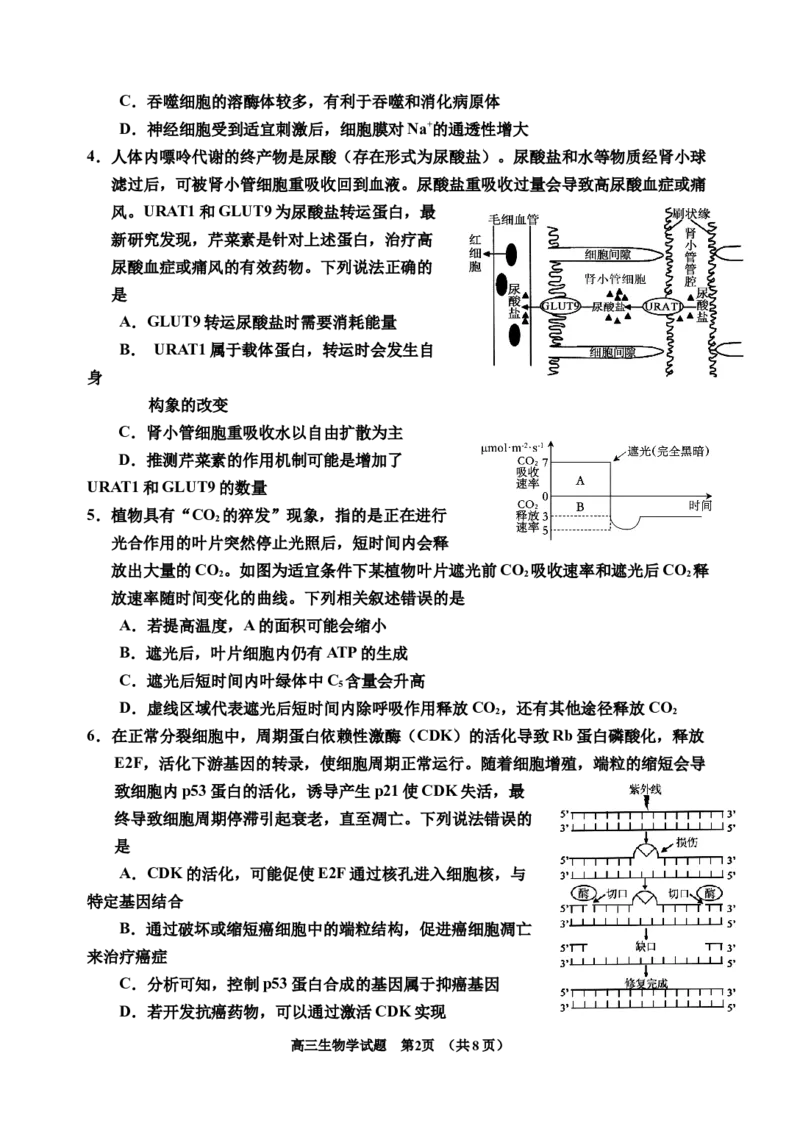 2025届生物二模_2025年1月_250121吉林省吉林市普通中学2024-2025学年高三上学期二模（全科）_吉林省吉林市普通中学2024-2025学年高三上学期二模试题生物Word版含答案