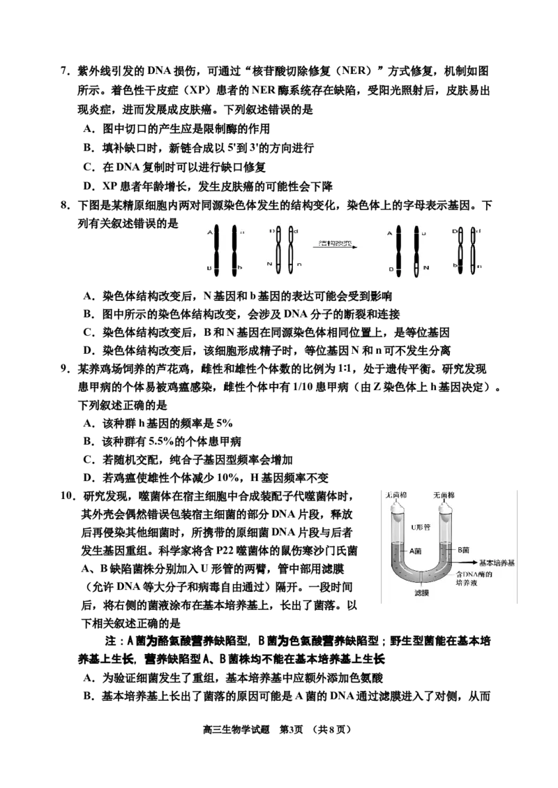 2025届生物二模_2025年1月_250121吉林省吉林市普通中学2024-2025学年高三上学期二模（全科）_吉林省吉林市普通中学2024-2025学年高三上学期二模试题生物Word版含答案