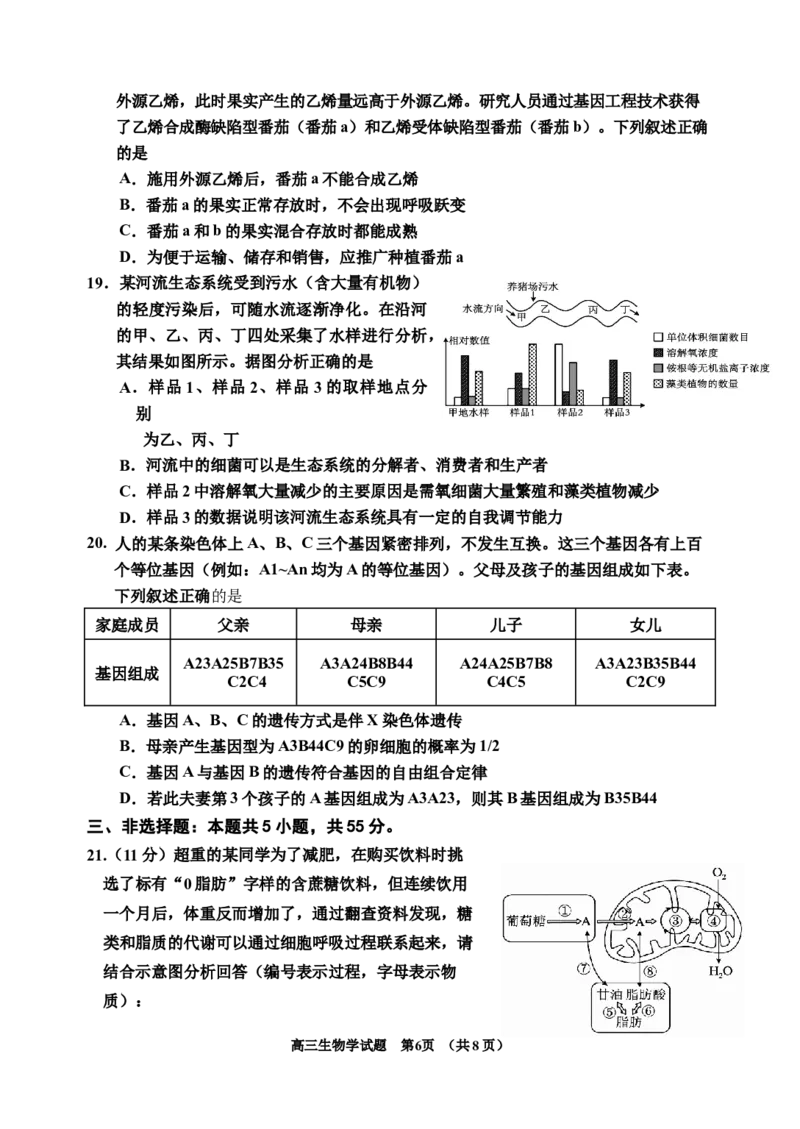 2025届生物二模_2025年1月_250121吉林省吉林市普通中学2024-2025学年高三上学期二模（全科）_吉林省吉林市普通中学2024-2025学年高三上学期二模试题生物Word版含答案