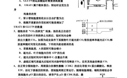 2025届生物二模_2025年1月_250121吉林省吉林市普通中学2024-2025学年高三上学期二模（全科）_吉林省吉林市普通中学2024-2025学年高三上学期二模试题生物Word版含答案
