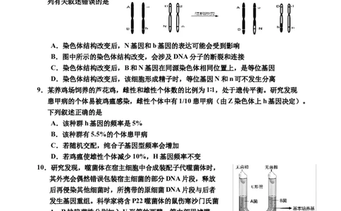 2025届生物二模_2025年1月_250121吉林省吉林市普通中学2024-2025学年高三上学期二模（全科）_吉林省吉林市普通中学2024-2025学年高三上学期二模试题生物Word版含答案