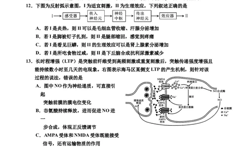 2025届生物二模_2025年1月_250121吉林省吉林市普通中学2024-2025学年高三上学期二模（全科）_吉林省吉林市普通中学2024-2025学年高三上学期二模试题生物Word版含答案