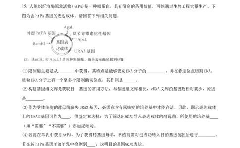 黑龙江省鸡西市密山市高级中学2024届高三上学期1月期末考试生物(1)_2024年1月_021月合集_2024届黑龙江省鸡西市密山市高级中学高三上学期1月期末考试