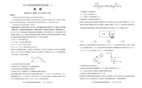 2025年湖北省新高考信息卷（一）物理_2025年5月_2505162025年湖北省新高考信息卷（一）（全科）