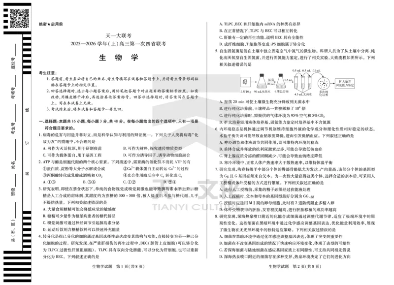 (8K,4页)生物学高三第一次四省联考单色_2025年9月_250905（陕西山西宁夏青海）天一大联考2025-2026学年（上）高三第一次四省联考（全科）