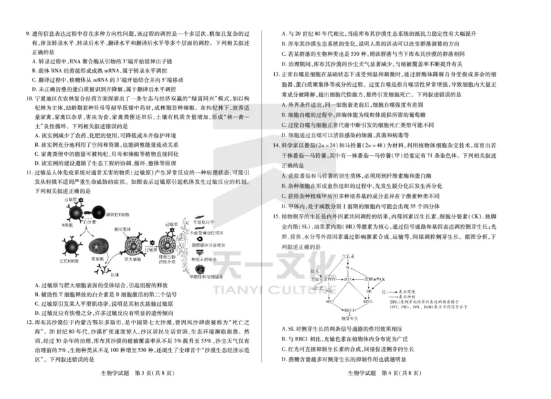 (8K,4页)生物学高三第一次四省联考单色_2025年9月_250905（陕西山西宁夏青海）天一大联考2025-2026学年（上）高三第一次四省联考（全科）