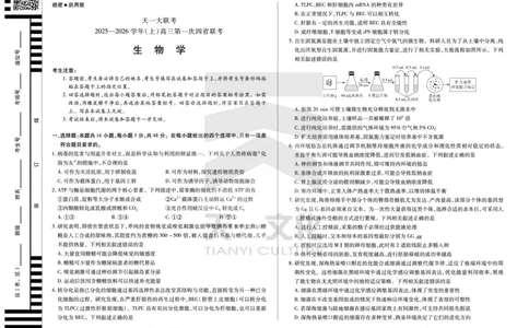 (8K,4页)生物学高三第一次四省联考单色_2025年9月_250905（陕西山西宁夏青海）天一大联考2025-2026学年（上）高三第一次四省联考（全科）