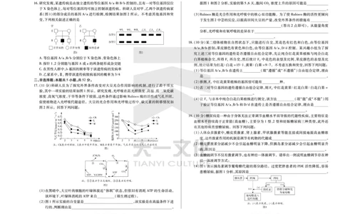 (8K,4页)生物学高三第一次四省联考单色_2025年9月_250905（陕西山西宁夏青海）天一大联考2025-2026学年（上）高三第一次四省联考（全科）