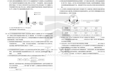 (8K,4页)生物学高三第一次四省联考单色_2025年9月_250905（陕西山西宁夏青海）天一大联考2025-2026学年（上）高三第一次四省联考（全科）