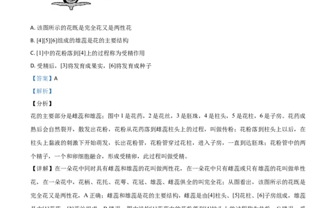 精品解析：四川省内江市2019年中考生物试卷（解析版）_中考真题_8.生物中考真题2015-2024年_2019年全国中考生物92份_精品解析：四川省内江市2019年中考生物试题