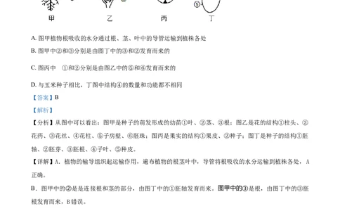 精品解析：四川省资阳市2021年生物中考试题（解析版）_中考真题_8.生物中考真题2015-2024年_2021中考生物真题64份_2021四川_精品解析：四川省资阳市2021年生物中考试题