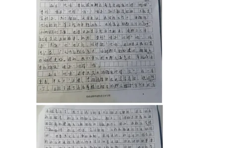 作业2答案_2026考公资料_（28）上岸村合集（司马、章晓铭、王永恒、天晓、忠政、丁旭等）_2025合集_4忠政合集_申论2024国考忠政申论批改班_31期批改班
