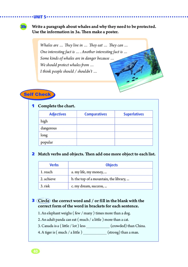 鲁教版8年级英语上册高清教材_4-教培资料-26年最新资料-同步更新_初中高中教资_03科三专项（进去保存报考的学科即可）_02科三专项（笔记真题思维导图教学设计版本二）