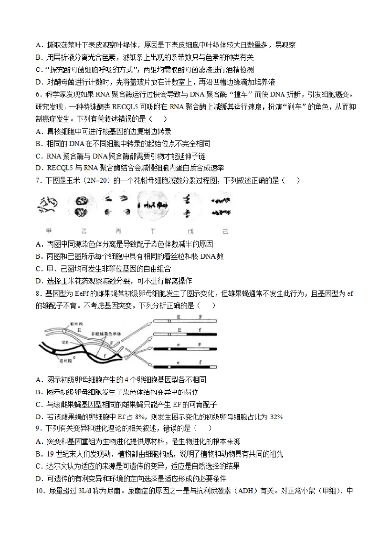 2025届江苏省南通市如皋市高三下学期适应性考试（二）生物试题（含答案）_2025年4月_2504142025届江苏省南通市如皋市高三下学期适应性考试（二）（2.5模）（全科）