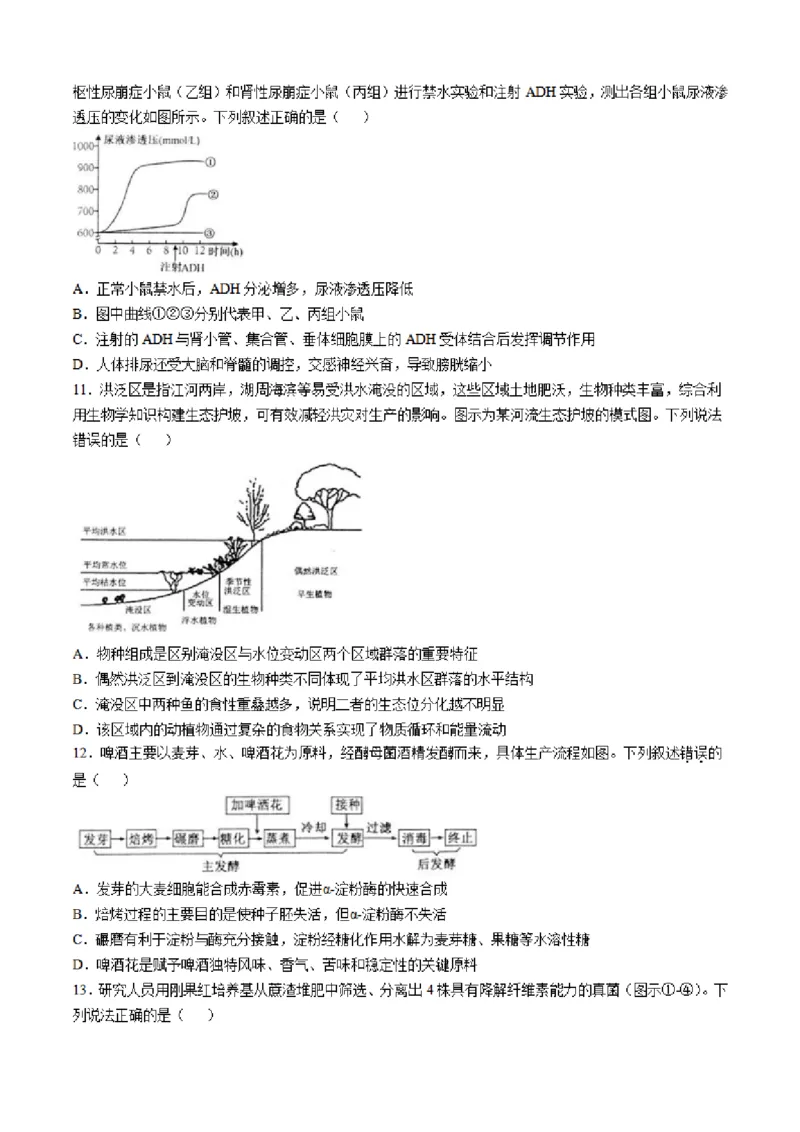 2025届江苏省南通市如皋市高三下学期适应性考试（二）生物试题（含答案）_2025年4月_2504142025届江苏省南通市如皋市高三下学期适应性考试（二）（2.5模）（全科）