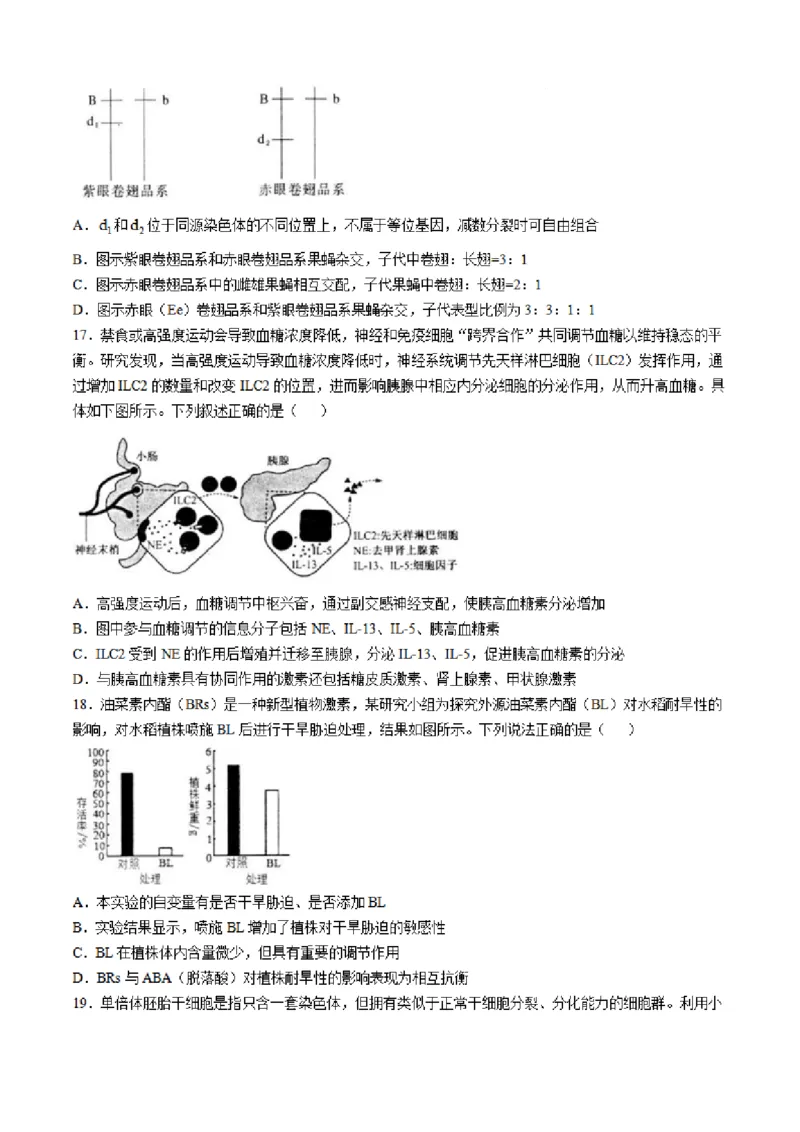 2025届江苏省南通市如皋市高三下学期适应性考试（二）生物试题（含答案）_2025年4月_2504142025届江苏省南通市如皋市高三下学期适应性考试（二）（2.5模）（全科）