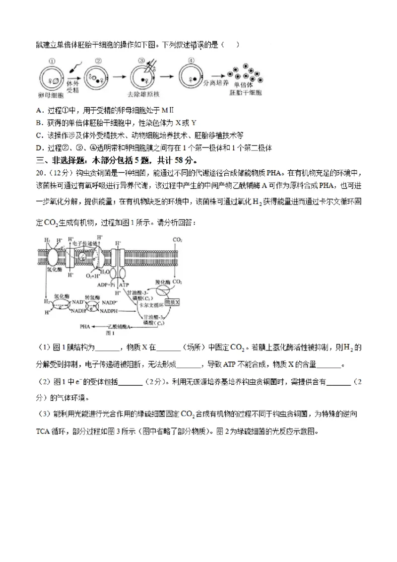 2025届江苏省南通市如皋市高三下学期适应性考试（二）生物试题（含答案）_2025年4月_2504142025届江苏省南通市如皋市高三下学期适应性考试（二）（2.5模）（全科）