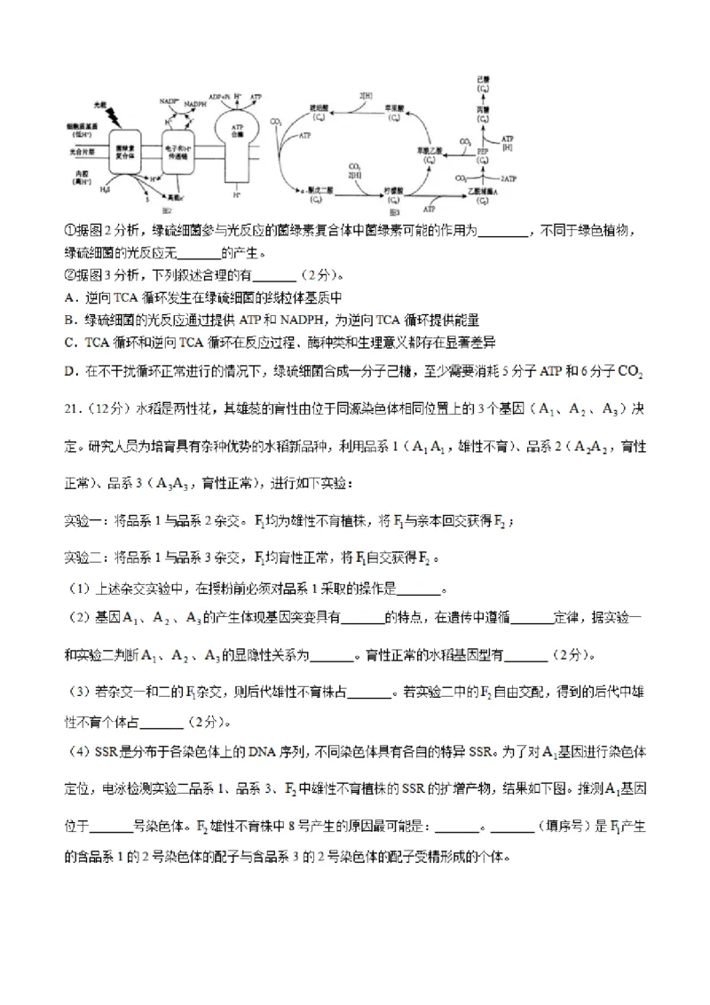 2025届江苏省南通市如皋市高三下学期适应性考试（二）生物试题（含答案）_2025年4月_2504142025届江苏省南通市如皋市高三下学期适应性考试（二）（2.5模）（全科）