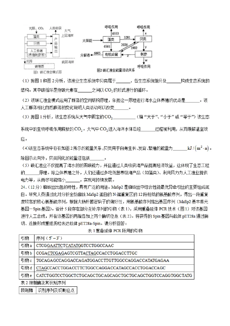 2025届江苏省南通市如皋市高三下学期适应性考试（二）生物试题（含答案）_2025年4月_2504142025届江苏省南通市如皋市高三下学期适应性考试（二）（2.5模）（全科）
