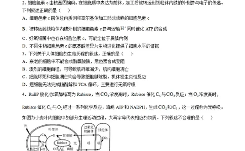 2025届江苏省南通市如皋市高三下学期适应性考试（二）生物试题（含答案）_2025年4月_2504142025届江苏省南通市如皋市高三下学期适应性考试（二）（2.5模）（全科）