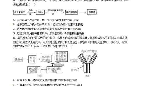 2025届江苏省南通市如皋市高三下学期适应性考试（二）生物试题（含答案）_2025年4月_2504142025届江苏省南通市如皋市高三下学期适应性考试（二）（2.5模）（全科）