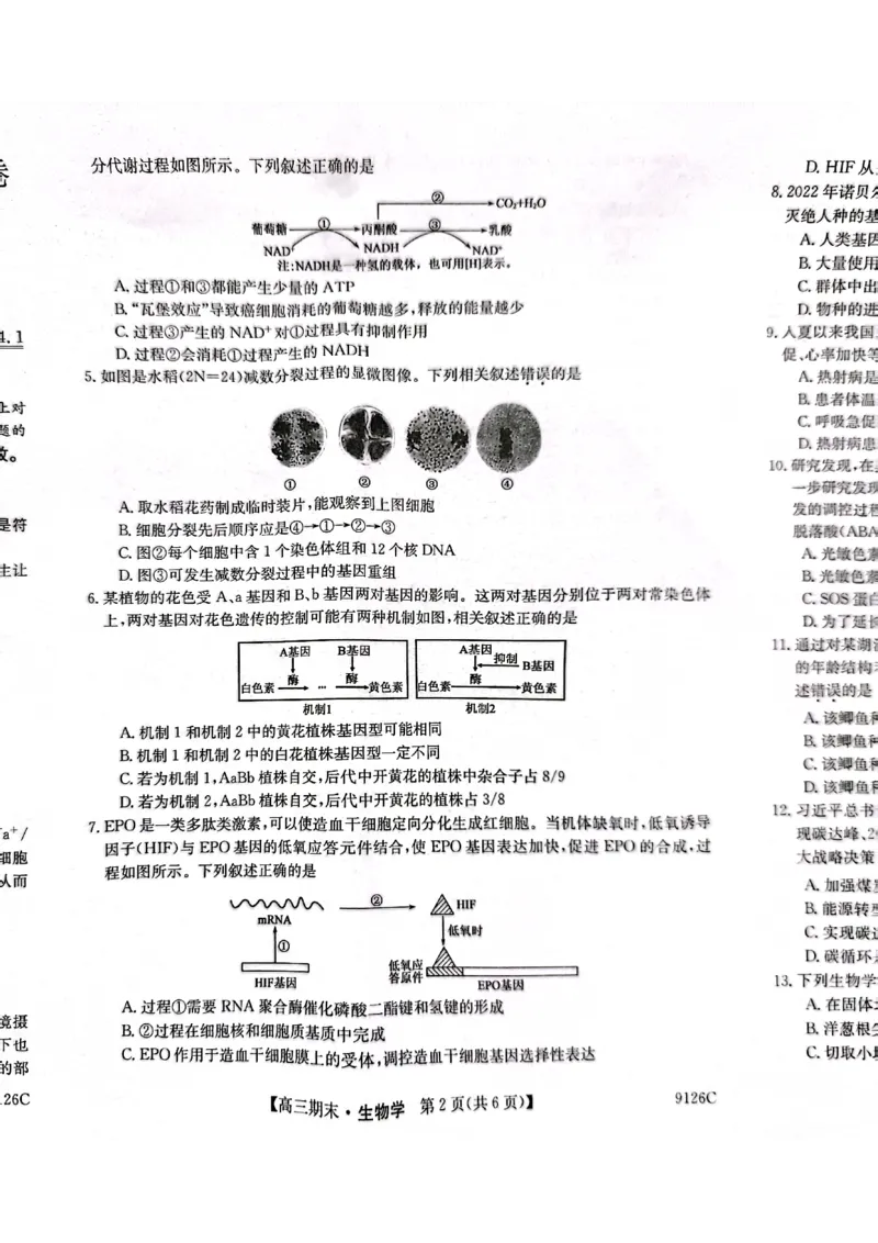 高三生物_2024届甘肃省酒泉市瓜州县第一中学高三上学期1月期末考试_甘肃省酒泉市瓜州县第一中学2024届高三上学期1月期末考试生物