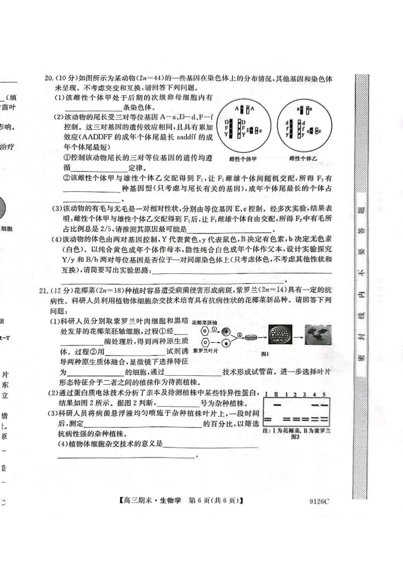 高三生物_2024届甘肃省酒泉市瓜州县第一中学高三上学期1月期末考试_甘肃省酒泉市瓜州县第一中学2024届高三上学期1月期末考试生物