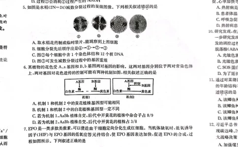高三生物_2024届甘肃省酒泉市瓜州县第一中学高三上学期1月期末考试_甘肃省酒泉市瓜州县第一中学2024届高三上学期1月期末考试生物